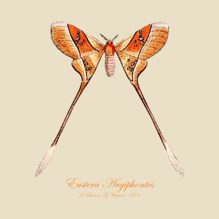 Moth - Eustera Argiphontes, Eudaemonia Argiphontes T-Shirt