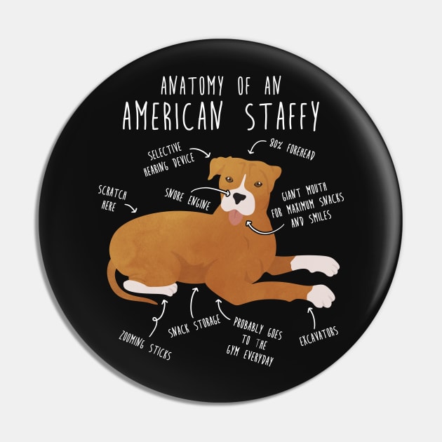 American Staffordshire Terrier Amstaff Anatomy Pin by Psitta