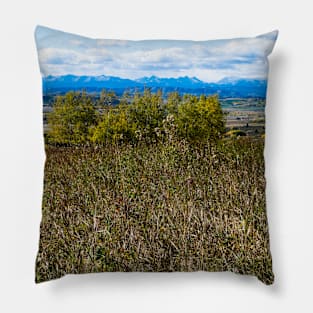 Fall in Canada Pillow