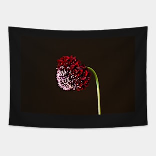 Black Knight Scabiosa Tapestry