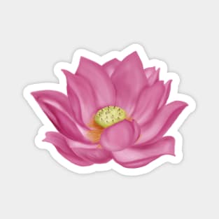Pink Lotus Blossom Digital Art Magnet