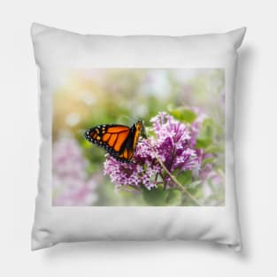 Monarch Butterfly - photograph Pillow