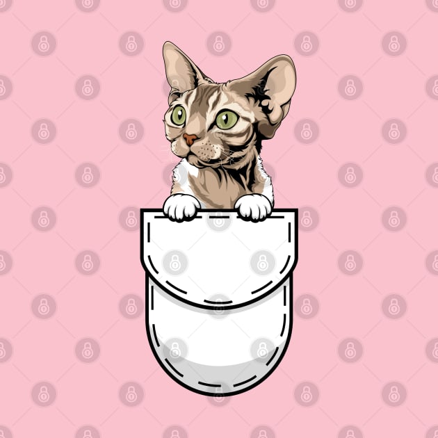 Funny Devon Rex Pocket Cat by Pet My Dog