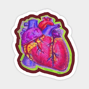 Anatomical Heart Doodle- Anatomy Med Drawing Magnet