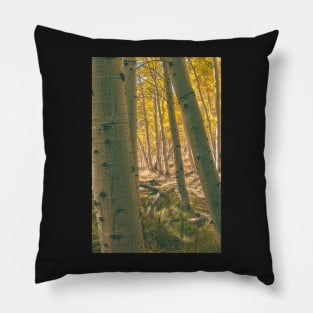 Autumn Aspens Pillow