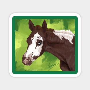 Pinto Foal Magnet