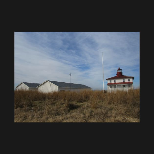 Point Lookout Light House and Sheds 002 by ToniaDelozier