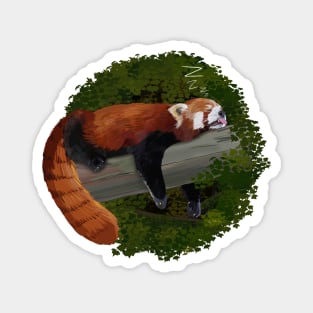 Sleepy Red Panda Magnet
