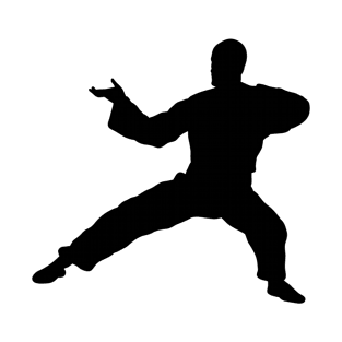 kung fu style T-Shirt