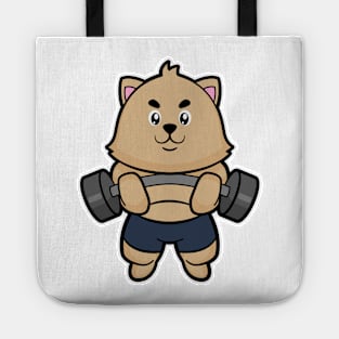 Cat at Bodybuilding with Barbell Tote