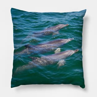 Three Dolphins! Pillow