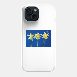 Narcissus  &#39;W.P. Milner&#39;   Division 1  Trumpet  Daffodil Phone Case