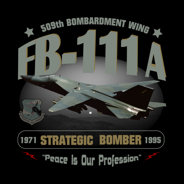 FB111ADesign 509th Bombardment Wing, Pease AFB Military Aircraft