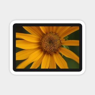 Sunflower Magnet