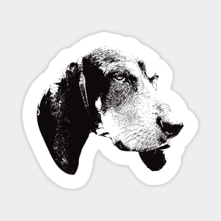 Blue Tick Coonhound gift for Coonhound Owners Magnet