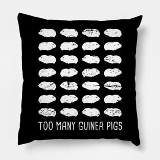 Cute And Funny Pet Guinea Pig Graphic Pillow