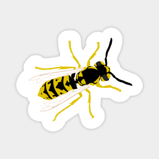 Wasp Magnet