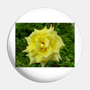 Yellow Rose Wild Pin