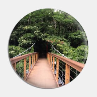 Bridge to Hiji Waterfall Pin