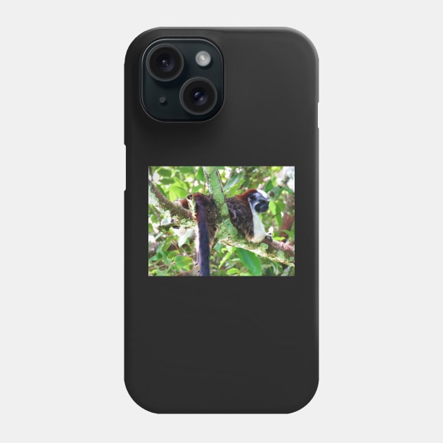 Monkey in Tree - Boquete, Panama Phone Case by julyperson