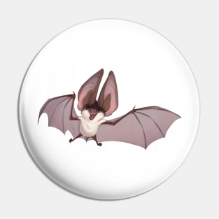 Grey long-eared bat Pin