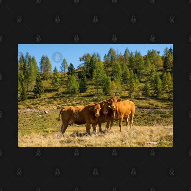 Italian Alpine Cows by jojobob