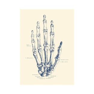 Hand Skeletal Diagram - Vintage Anatomy Poster T-Shirt