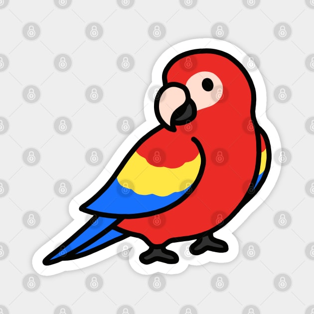 Parrot Magnet by littlemandyart