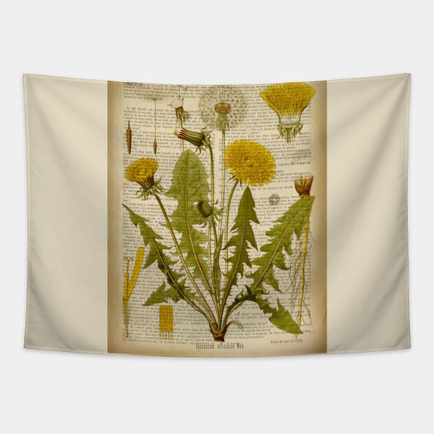 Botanical print, on old book page - Dandelion Tapestry by ArtDreamStudio