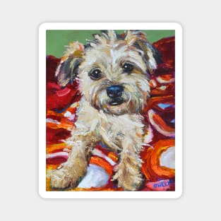 Bernie the CAIRN TERRIER by Robert Phelps Magnet