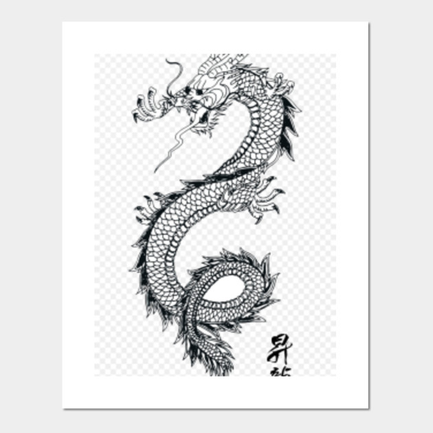 Japanese Dragon Japanese Dragon Posters And Art Prints