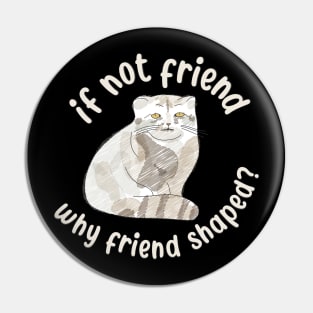 If not friend, why friend shaped? Pallas Cat Fren Pin