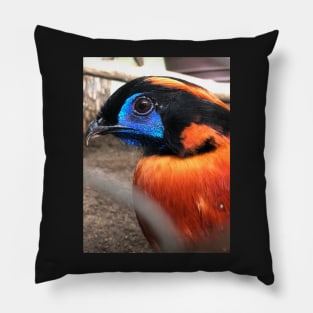 Pheasant Pillow