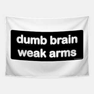 Dumb Brain, Weak Arms - Light Tapestry