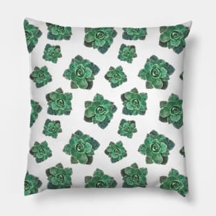 Succulent Pattern on White Background Pillow