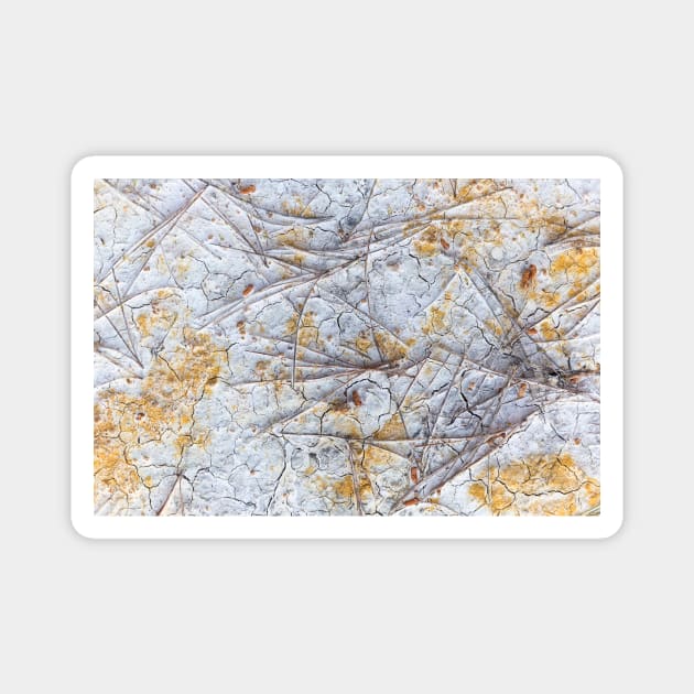 Dry and swollen earth texture Magnet by textural