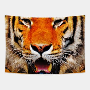 Tiger Tie Dye Tapestry