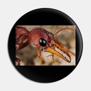 ant Pin