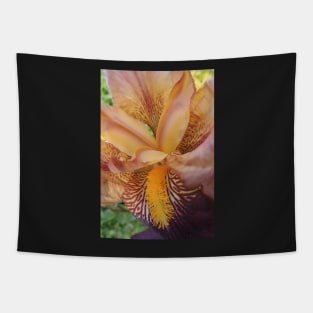 Purple and Orange Tapestry