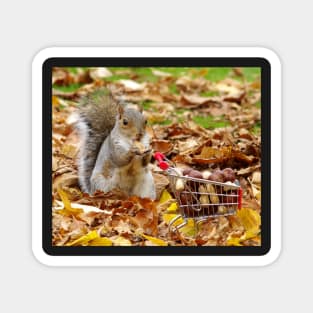 squirrel with shopping cart Magnet