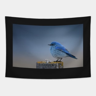 Bluebird Dawning Tapestry