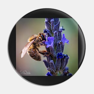 BEE LIFE Pin