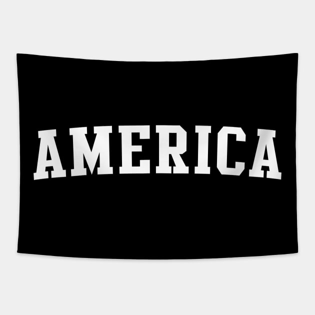 america Tapestry by Novel_Designs