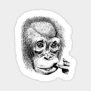 Orangutan Youth Face Magnet