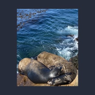 Sea Lion BFF Pillows T-Shirt