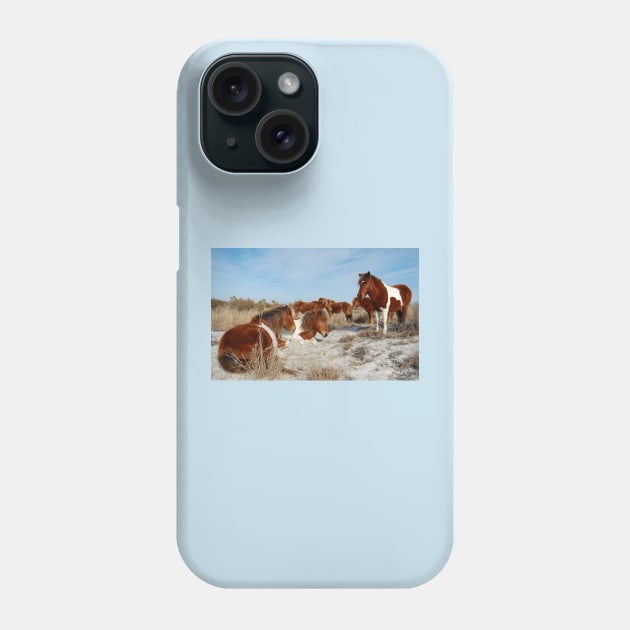 Wild horses, wildlife, gifts, painted horse, Assateague Island, Maryland Phone Case by sandyo2ly