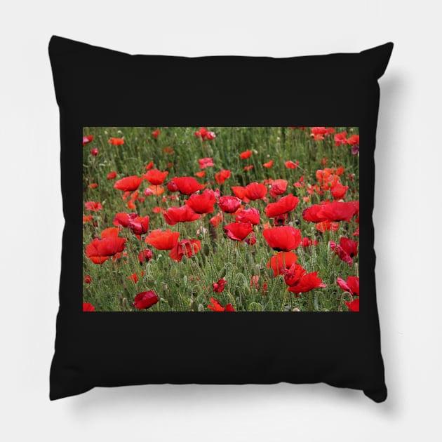 Poppy community,  a family Pillow by mister-john