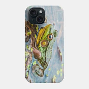 Resting Green Frog Photograph Phone Case