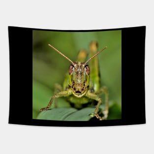 Grasshopper Tapestry