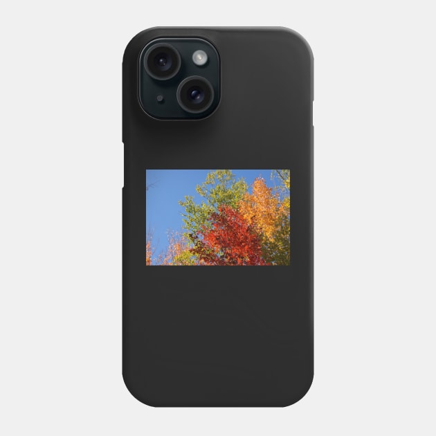 Foliage in Autumn Phone Case by sma1050